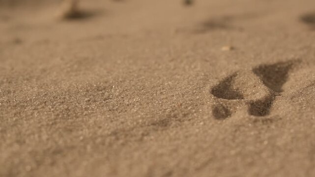 M&atilde;o tentando desenhando com l&aacute;pis sobre areia do deserto, arriscando em solo arenoso, ato de ilustrar no ch&atilde;o, deserto criativo, bloqueio criativo