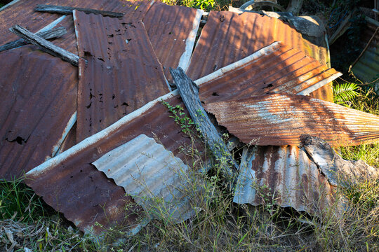 A pile of Old aged weathered rusty galvanized corrugated iron sheet roof And wood scraps. on the ground, overgrown with grass and weeds a garden background,Vintage.