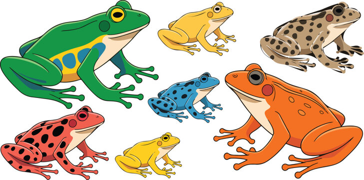 &ldquo;Colorful Frogs Illustration Set on White Background&rdquo;