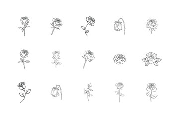 Minimal Rose Flower Line Art Set Elegant Floral Outline Vector Illustration.