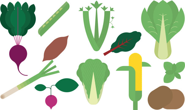 vegetables_3