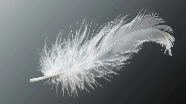 A single white feather suspended in mid-air, perhaps symbolizing hope or freedom