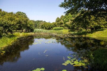 Picturesque pond and park of the Orekhovno estate. Orekhovno village, Pustoshkinsky district, Pskov region, Russia