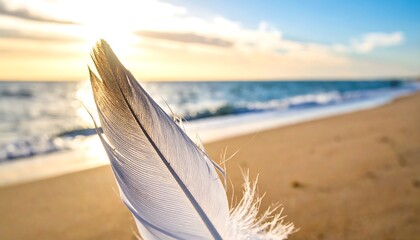 Feather on a serene beach at sunset, a moment of peace.