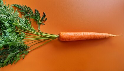 vibrant whole carrot flat lay on orange