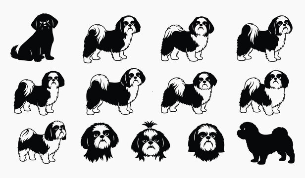 A collection of shih tzu dog illustrations in various poses and views