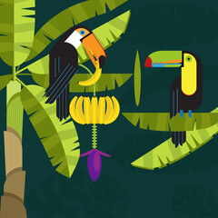 Fototapeta premium Banana tree with Toucans