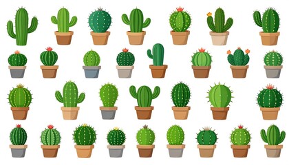 Diverse Cactus Collection - A Botanical Array of Desert Flora.
