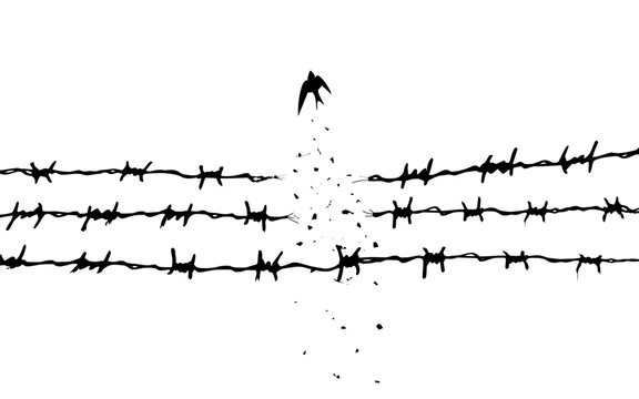 concept freedom, flight, breaking barriers, liberation, victory. barbed wire breaks and turns into a bird. Addiction Recovery Dispersion black and white effect.	