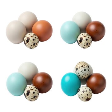 Collection of colorful eggs in quadruple arrangement