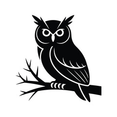 Obraz premium Black and white owl sitting on a branch bird