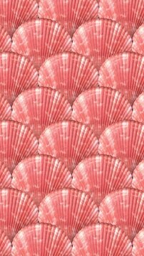 Animated Background of Red Scallop Seashells. 