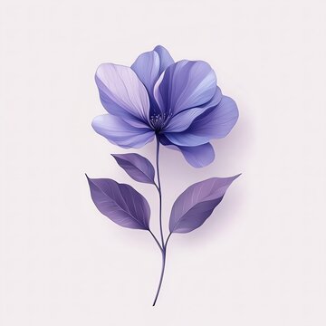 Elegant purple flower on a soft background.