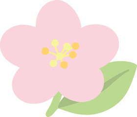 Pink Blossom with Green Leaf