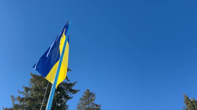 Video of the Ukrainian national flag waving in winter, set against snow-covered Christmas trees and a clear blue sky, symbolizing pride, resilience, and holiday beauty.	

