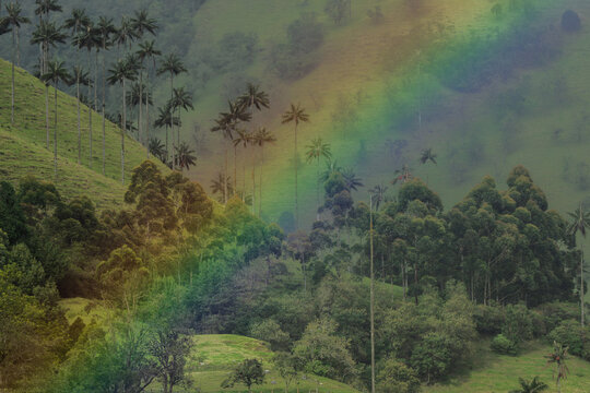 Aves de colombia