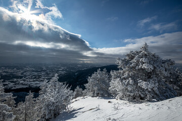 Obraz premium Mountain landscape in the winter with forests and fields covered with snow on Divcibare mountain, popular tourist place in Serbia