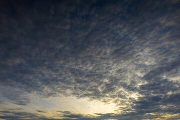 Obraz premium Dramatic Golden Hour Sky with Rippling Altocumulus Clouds,A wide-angle shot of a dramatic sky filled with textured altocumulus clouds during sunrise or sunset. The golden light from the horizon.
