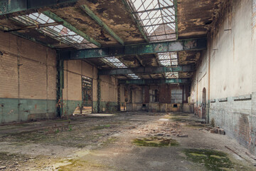 Forgotten Abandoned Factory with Nature Reclaiming Interior