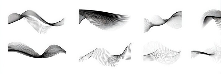 Fototapeta premium Elegant black and white line art creating fluid waves on white background