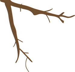 Fototapeta premium Brown Tree Branch