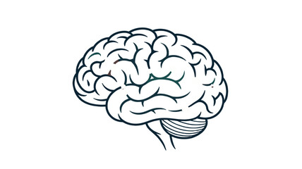 An illustrative side view of a human brain.