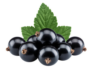 black currant isolated on white