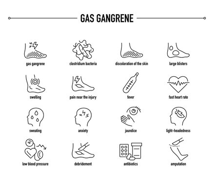 Gas Gangrene symptoms, diagnostic and treatment vector icon set. Line editable medical icons.