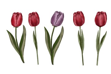 Obraz premium Tulips in Soft Pastel Colors, Watercolor Style Illustration 
