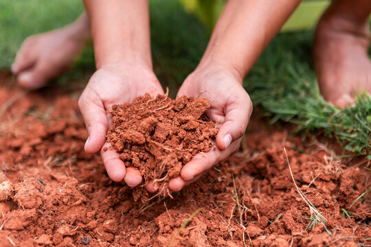 Hands holding soil in a natural garden setting