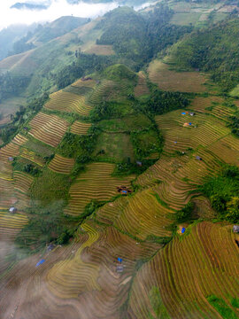 Stunning aerial view of rice terraces in Mu Cang Chai