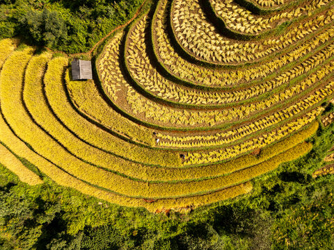 Aerial view of rice terraces in Mu Cang Chai, Vietnam