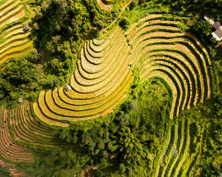 Aerial view of rice terraces in Mu Cang Chai, Vietnam