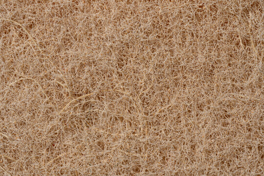 Abstract cellulose texture with natural fibers