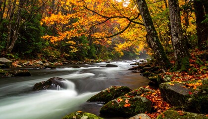 Autumn Serenity - River Flowing Through Vibrant Fall Foliage in the Forest.