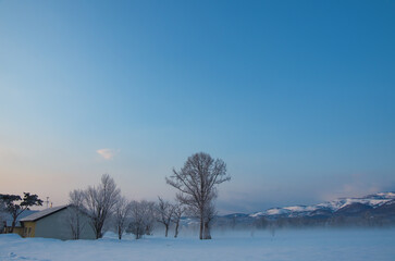 氷点下の夜明け樹氷と朝靄