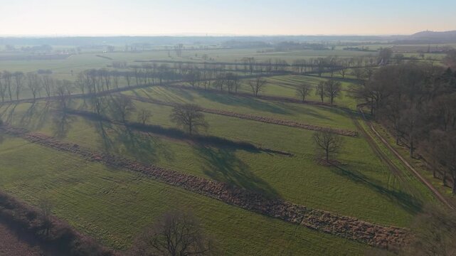 Aerial view of rural landscape with leafless trees, intersecting dirt roads, and patchwork fields bathed in soft winter light, forming geometric patterns and long shadows across the hazy countryside.