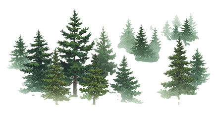 Fototapeta premium Watercolor of a dense coniferous forest with evergreen pines shrouded in thick swirling fog, soft white background and atmospheric perspective, serene mystical landscape atmosphere