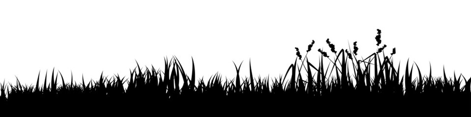 Naklejka premium Meadow silhouette with grass, plants on plain. Panoramic summer lawn landscape with herbs, various weeds. Herbal border, frame element. Black horizontal banners. Vector illustration