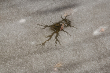 Frozen cracks in the ice after a stone was thrown.