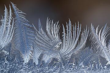 Ice flowers on a window with the background of blurring sunlight and bokeh