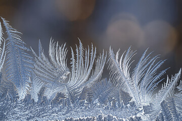Ice flowers on a window with the background of blurring sunlight and bokeh