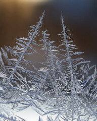 Ice flowers on a window with the background of blurring sunlight and bokeh