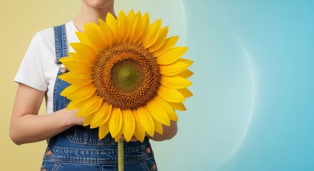 A close-up of a figure dressed in classic blue denim overalls proudly presenting a massive, brilliant yellow sunflower bloom cultivated during the warm season, outdoors, cheerful, yellow