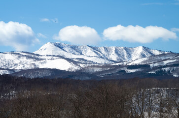 鳥が舞う黒松内岳の雪景色