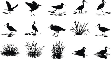 Wetland bird silhouette set, marsh vegetation illustration, wading bird vector, aquatic plant icons, black nature design, ecosystem artwork pack © MdJahid