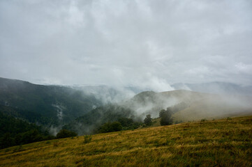 Panoramic view of forested mountains shrouded in thick white fog under cloudy sky.