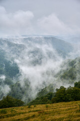 Obraz premium Panoramic view of forested mountains shrouded in thick white fog under cloudy sky.
