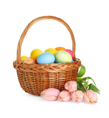 Easter basket with painted eggs and beautiful tulips isolated on white