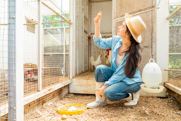 Happy young Asian woman collecting fresh eggs in chicken coop. Teenager girl with organic farming and free range poultry, sustainable agriculture, rural farm lifestyle and healthy food production. © CandyRetriever 